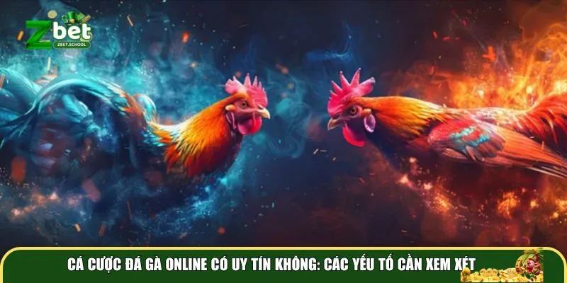 ca cuoc da ga online cac yeu to can xem Cá cược đá gà online có uy tín không: Các yếu tố cần xem xét