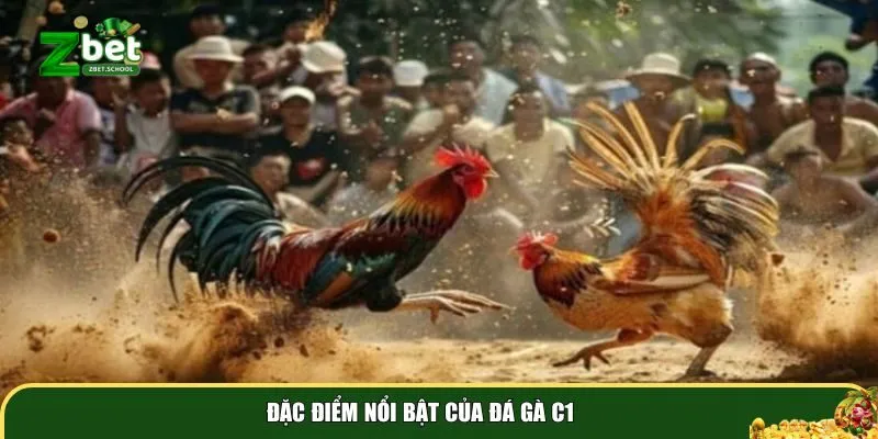 dac diem noi bat cua da ga c1 Đặc điểm nổi bật của đá gà C1