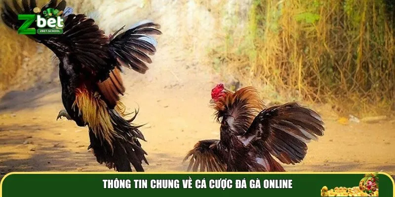 thong tin chung ve ca cuoc da ga online Thông tin chung về cá cược đá gà online